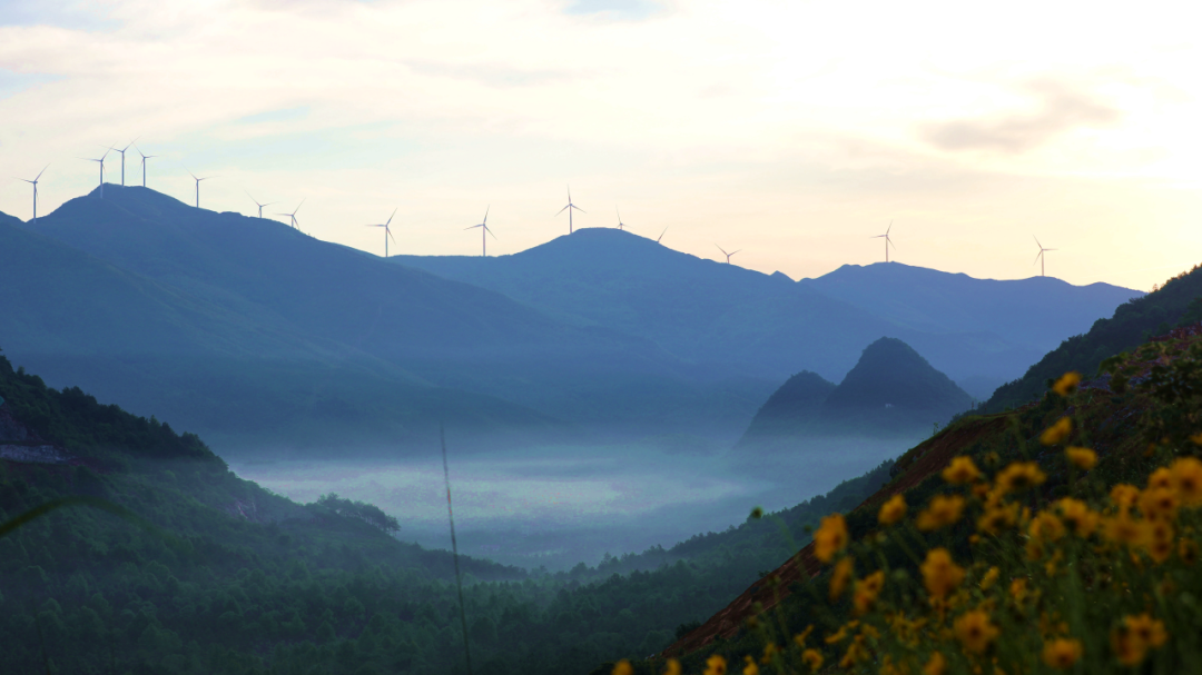 20250414093526816317