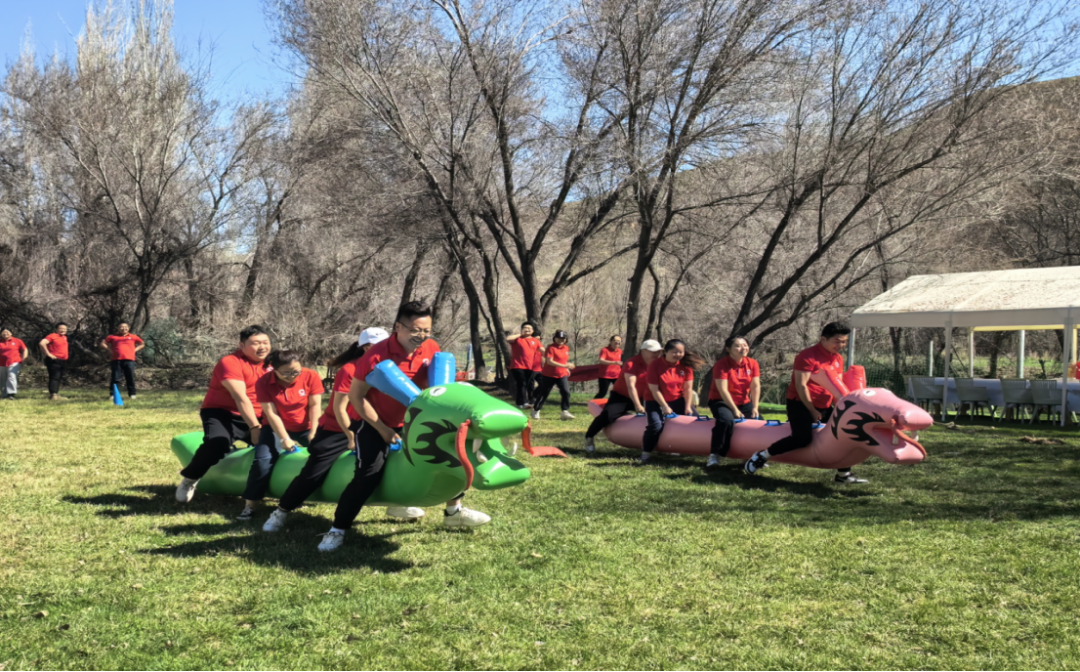 20250506101905417418