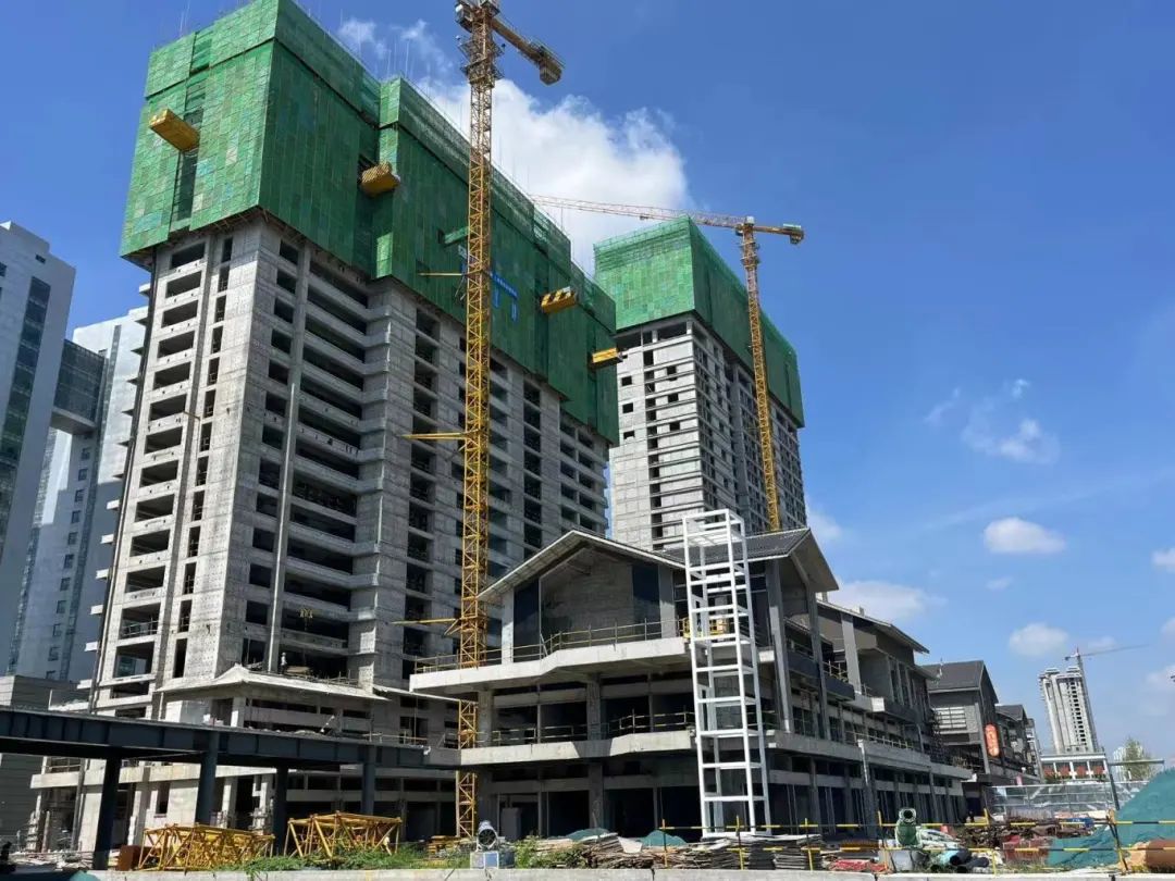 20250728100501179510