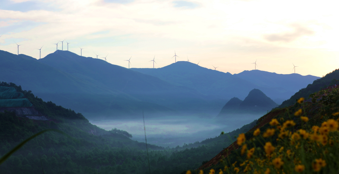 20251223094314248727